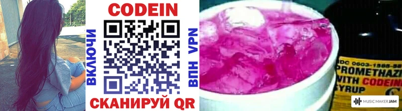 Купить закладки  Ефремов  Кодеиновый сироп Lean Purple Drank 